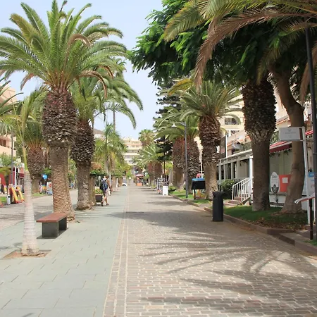 Cristianos - 2 Bedrooms - Flayla-c * Los Cristianos (Tenerife)