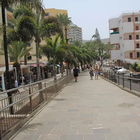 Cristianos - 2 Bedrooms - Flayla-c Lejlighed Los Cristianos (Tenerife)